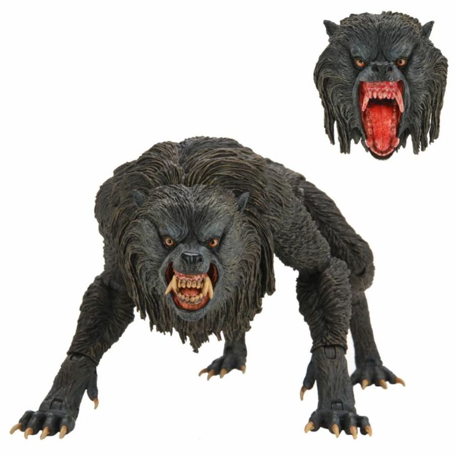 AN AMERICAN WEREWOLF LONDON-Le Loup-garou de Londres-Kessler Wolf – Image 3