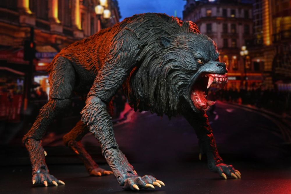 AN AMERICAN WEREWOLF LONDON-Le Loup-garou de Londres-Kessler Wolf – Image 4