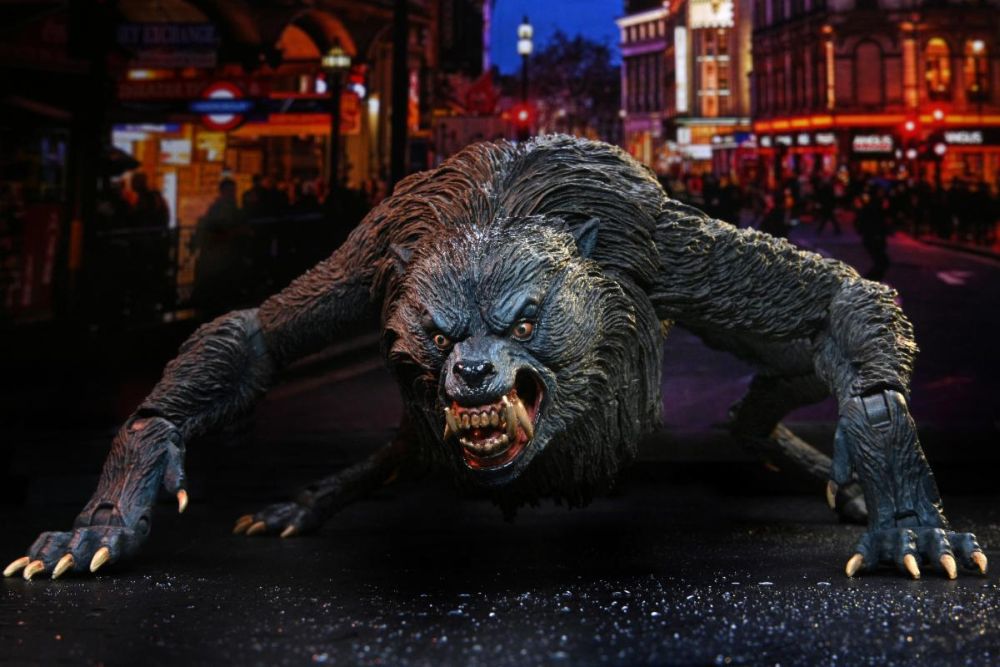 AN AMERICAN WEREWOLF LONDON-Le Loup-garou de Londres-Kessler Wolf – Image 5