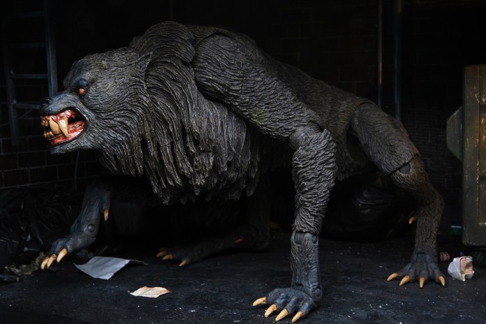AN AMERICAN WEREWOLF LONDON-Le Loup-garou de Londres-Kessler Wolf – Image 8