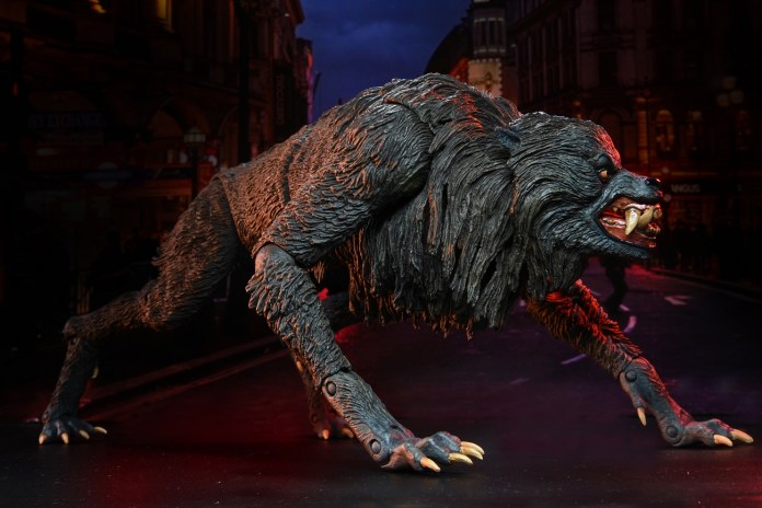AN AMERICAN WEREWOLF LONDON-Le Loup-garou de Londres-Kessler Wolf – Image 9