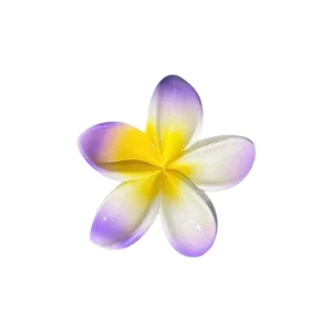 Pince Hawaï – Violet