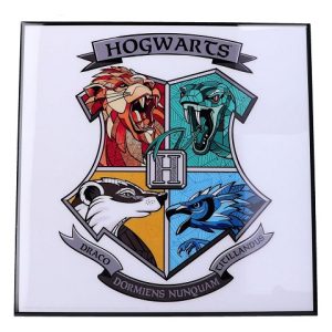 Tableau Résine Harry Potter
