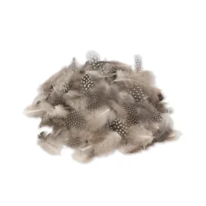 Sachet de plumes mouchetées